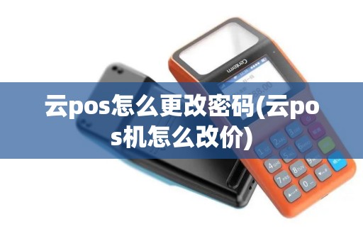 云pos怎么更改密码(云pos机怎么改价)