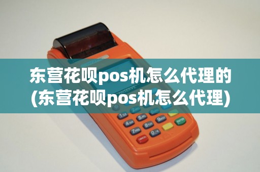 东营花呗pos机怎么代理的(东营花呗pos机怎么代理)