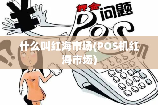 什么叫红海市场(POS机红海市场)