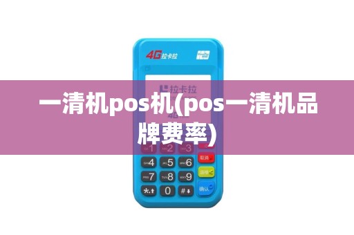 一清机pos机(pos一清机品牌费率)