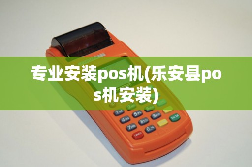 专业安装pos机(乐安县pos机安装)