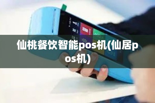 仙桃餐饮智能pos机(仙居pos机)