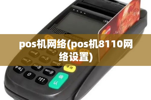 pos机网络(pos机8110网络设置)