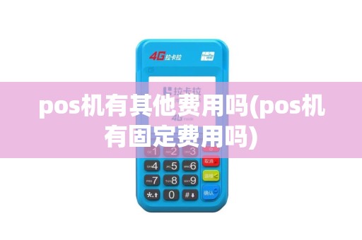 pos机有其他费用吗(pos机有固定费用吗)