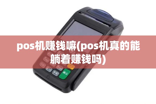 pos机赚钱嘛(pos机真的能躺着赚钱吗)