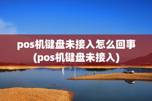 pos机键盘未接入怎么回事(pos机键盘未接入)