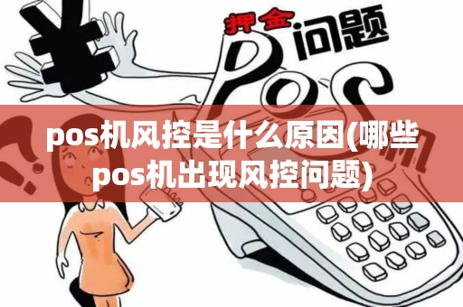 pos机风控是什么原因(哪些pos机出现风控问题)