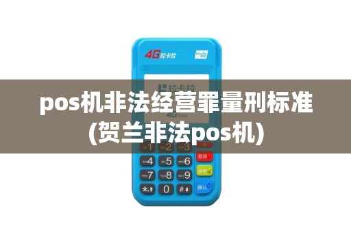 pos机非法经营罪量刑标准(贺兰非法pos机)