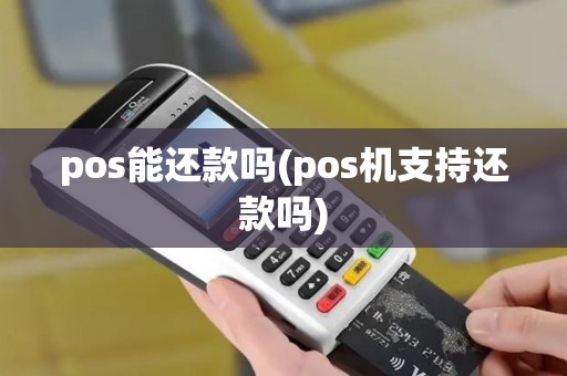 pos能还款吗(pos机支持还款吗)