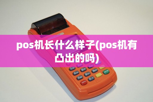 pos机长什么样子(pos机有凸出的吗)