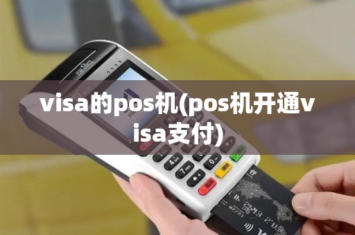visa的pos机(pos机开通visa支付)