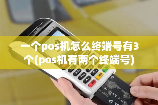 一个pos机怎么终端号有3个(pos机有两个终端号)