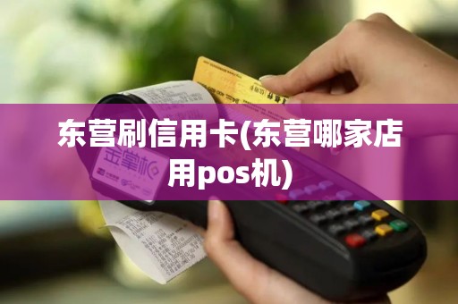 东营刷信用卡(东营哪家店用pos机)