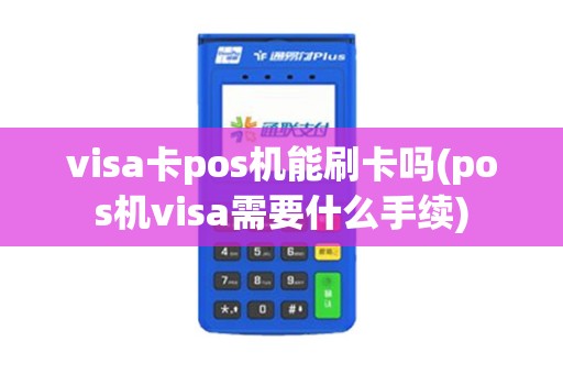 visa卡pos机能刷卡吗(pos机visa需要什么手续)