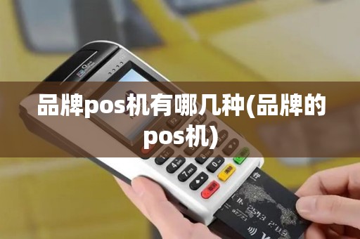 品牌pos机有哪几种(品牌的pos机)