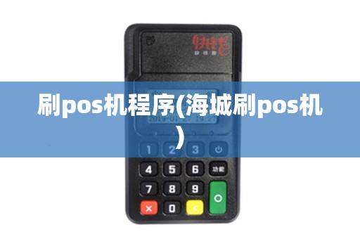 刷pos机程序(海城刷pos机)