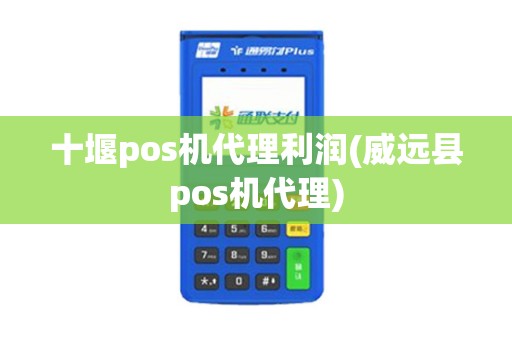 十堰pos机代理利润(威远县pos机代理)