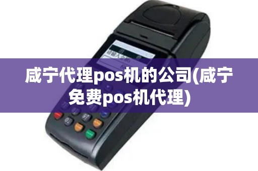咸宁代理pos机的公司(咸宁免费pos机代理)