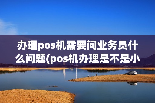 办理pos机需要问业务员什么问题(pos机办理是不是小姐回访)