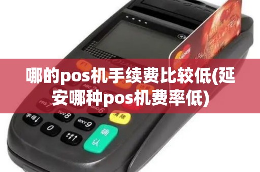 哪的pos机手续费比较低(延安哪种pos机费率低)