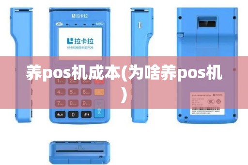 养pos机成本(为啥养pos机)