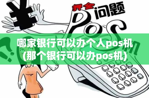 哪家银行可以办个人pos机(那个银行可以办pos机)