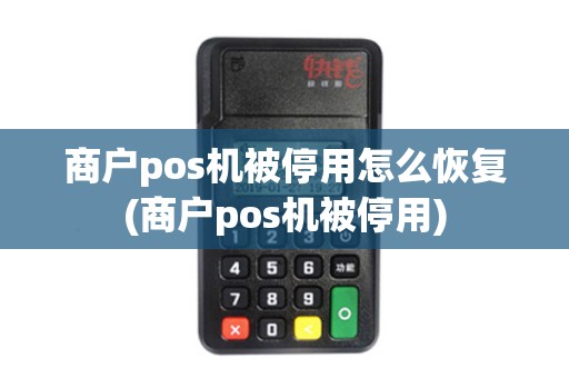 商户pos机被停用怎么恢复(商户pos机被停用)
