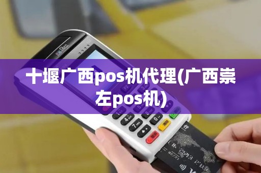 十堰广西pos机代理(广西崇左pos机)