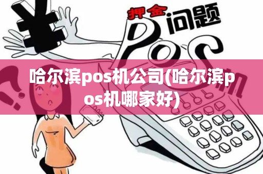 哈尔滨pos机公司(哈尔滨pos机哪家好)