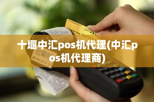 十堰中汇pos机代理(中汇pos机代理商)