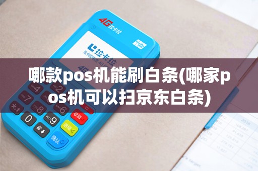 哪款pos机能刷白条(哪家pos机可以扫京东白条)