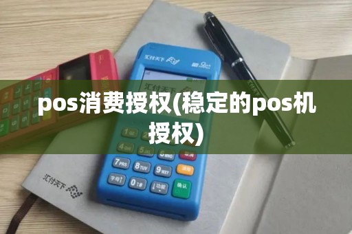 pos消费授权(稳定的pos机授权)
