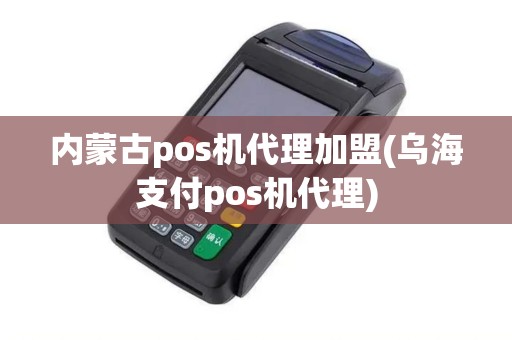 内蒙古pos机代理加盟(乌海支付pos机代理)