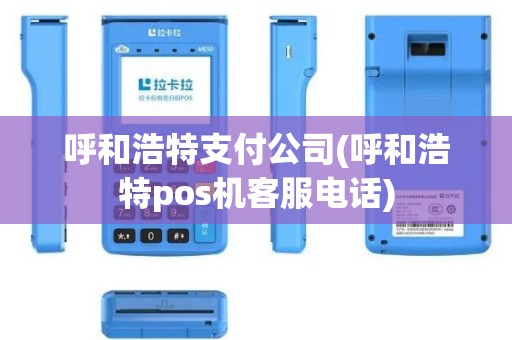 呼和浩特支付公司(呼和浩特pos机客服电话)