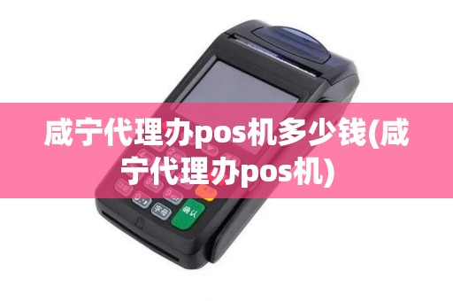 咸宁代理办pos机多少钱(咸宁代理办pos机)