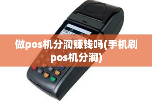 做pos机分润赚钱吗(手机刷pos机分润)