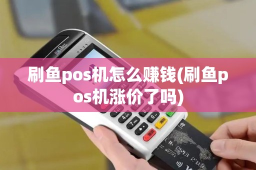刷鱼pos机怎么赚钱(刷鱼pos机涨价了吗)