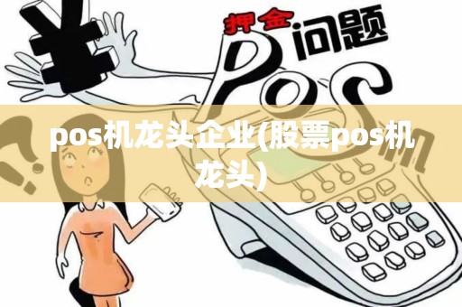 pos机龙头企业(股票pos机龙头)