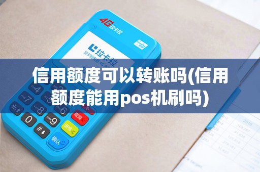 信用额度可以转账吗(信用额度能用pos机刷吗)