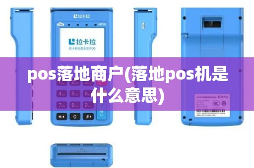 pos落地商户(落地pos机是什么意思)