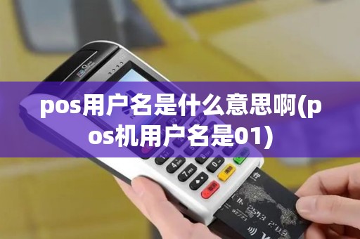 pos用户名是什么意思啊(pos机用户名是01)