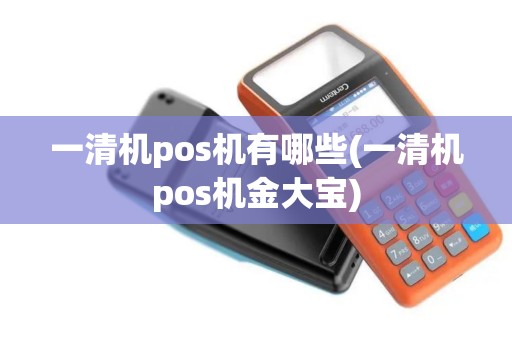 一清机pos机有哪些(一清机pos机金大宝)