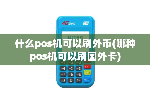 什么pos机可以刷外币(哪种pos机可以刷国外卡)