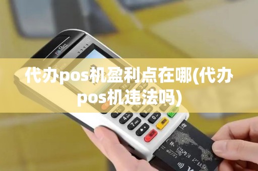 代办pos机盈利点在哪(代办pos机违法吗)