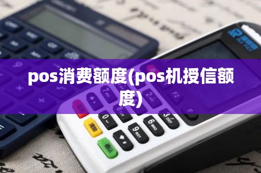 pos消费额度(pos机授信额度)