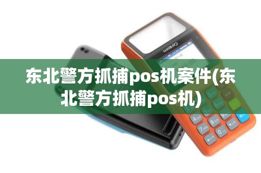 东北警方抓捕pos机案件(东北警方抓捕pos机)