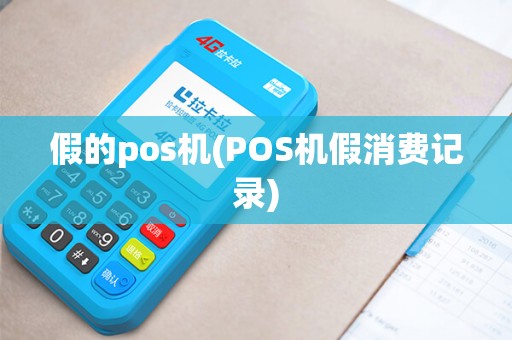 假的pos机(POS机假消费记录)