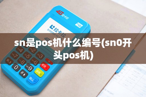 sn是pos机什么编号(sn0开头pos机)