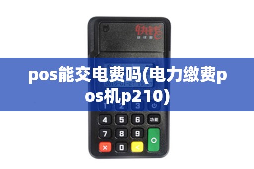 pos能交电费吗(电力缴费pos机p210)