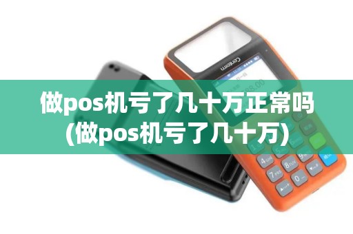 做pos机亏了几十万正常吗(做pos机亏了几十万)